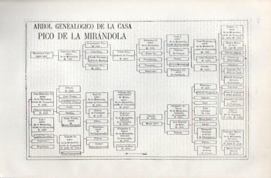 LAMINA V49715: Arbol genealogico de la Casa Pico de la Mirandola