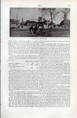 LAMINA V49767: Vista parcial de Pina de Ebro