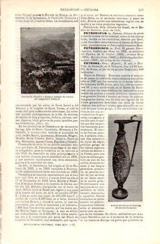 LAMINA V49681: Palacio de verano del emperador Pedro II en Petropolis, Brasil