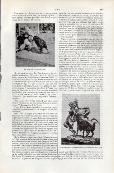 LAMINA V49709: La pica por A. Kampt