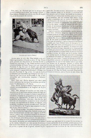 LAMINA V49709: La pica por A. Kampt