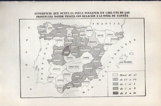 LAMINA V49783: Pinus pinaster superficie en las provincias de España mapa