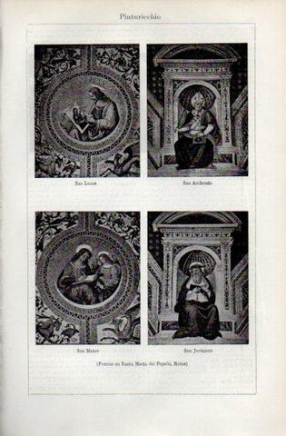 LAMINA V49798: Pinturicchio frescos en Santa Maria del Popolo