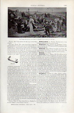 LAMINA V49799: La Virgen Sarracena por J. Pinwell