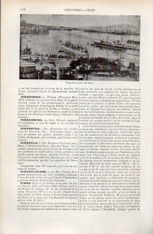 LAMINA V49812: Vista del puerto del Pireo