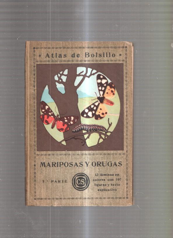 Atlas de Bolsillo: Mariposas y orugas, 2ª parte