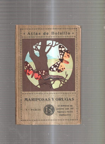 Atlas de Bolsillo: Mariposas y orugas, 2ª parte