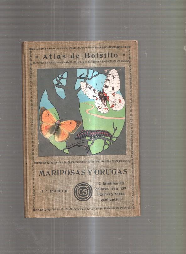 Atlas de Bolsillo: Mariposas y orugas,1ª parte