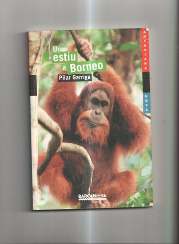 Un estiu a Borneo