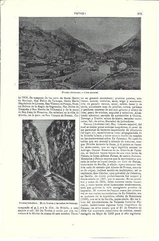 LAMINA ESPASA 39770: Vista general de Proaza, Asturias