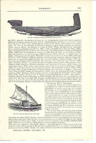 LAMINA ESPASA 40132: Lancha de los Maori y de las islas Fiji