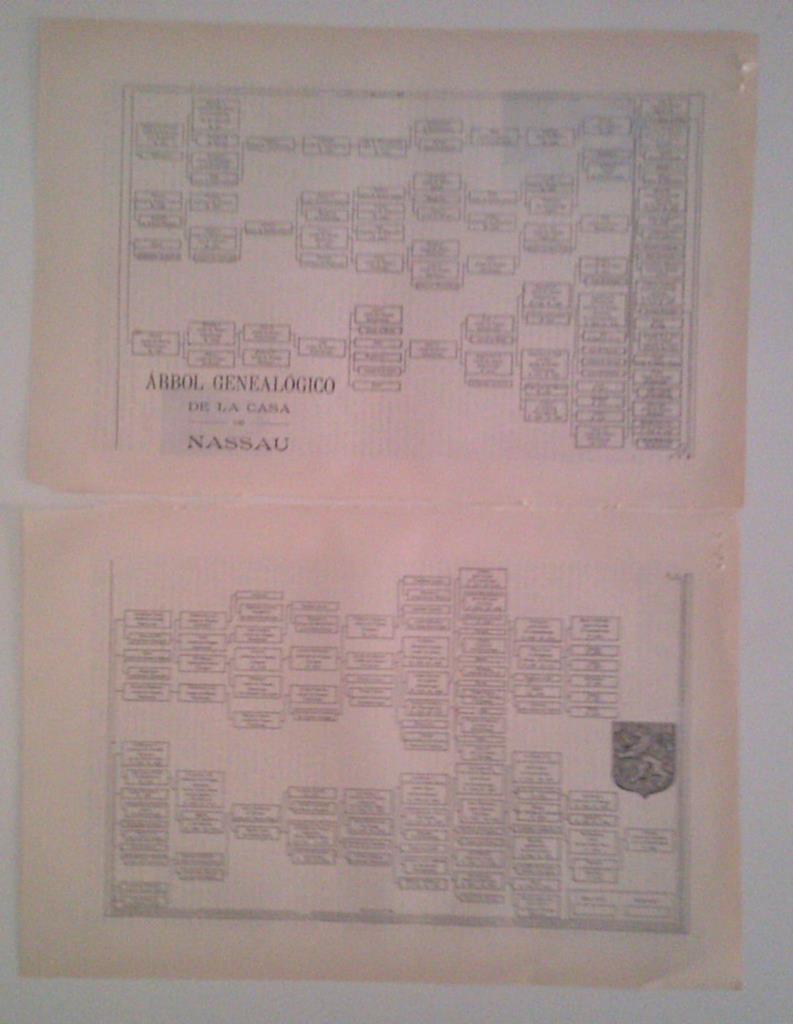 LAMINA ESPASA 40107: Arbol genealogico de la casa Nassau