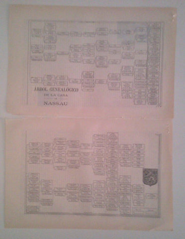 LAMINA ESPASA 40107: Arbol genealogico de la casa Nassau