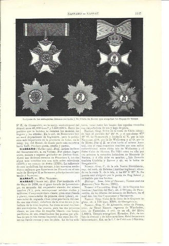 LAMINA ESPASA 40106: Insignias de los Duques de Nassau
