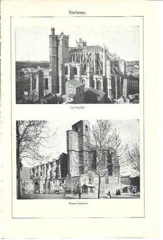 LAMINA ESPASA 40100: Catedral y Museo Lapidario de Narbona, Francia