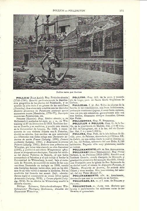 LAMINA ESPASA 40293: Pollice verso, por Gerome
