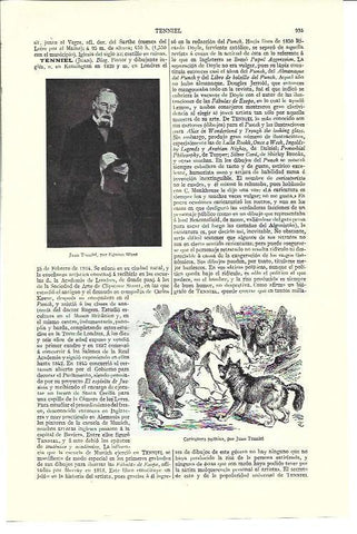 LAMINA ESPASA 40212: John Tenniel 