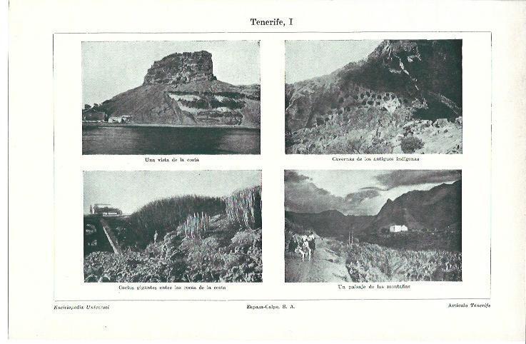 LAMINA ESPASA 40205: Vistas de Tenerife