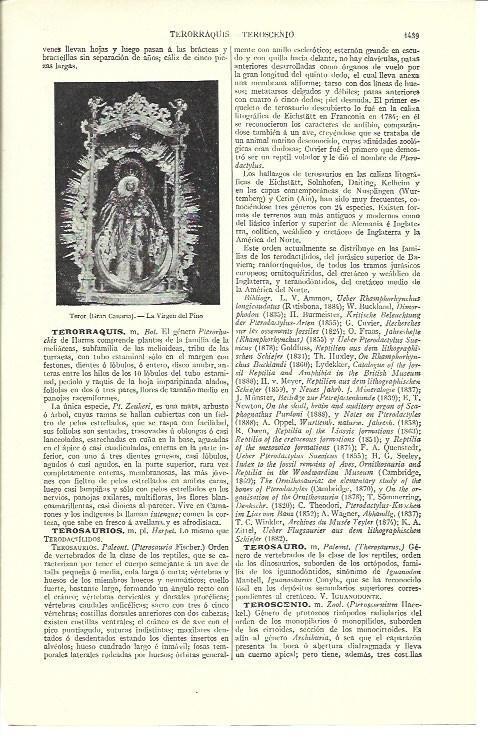 LAMINA ESPASA 40247: La Virgen del Piso de Teror, Gran Canaria