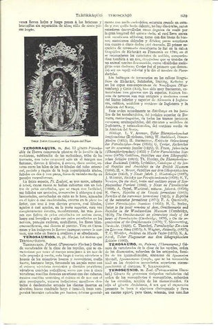 LAMINA ESPASA 40247: La Virgen del Piso de Teror, Gran Canaria