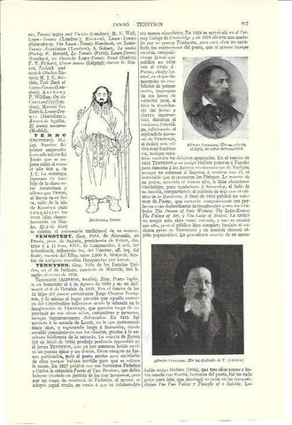 LAMINA ESPASA 40218: Alfred Tennyson