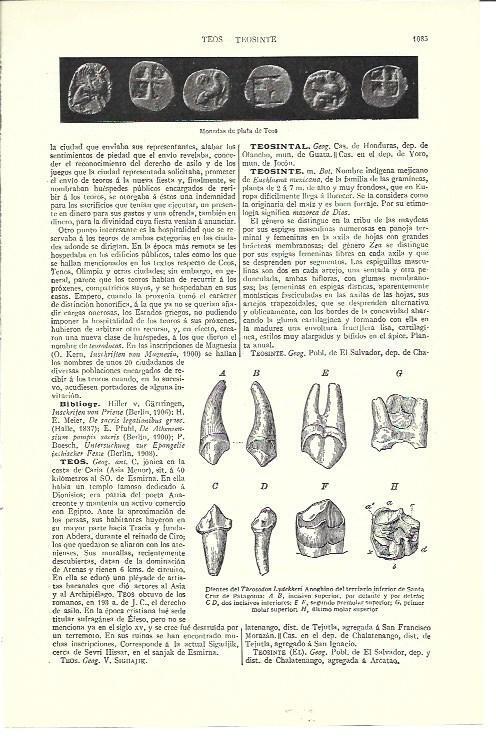 LAMINA ESPASA 40222: Monedas de plata de Teos y dientes de Theosodon Lydekkeri