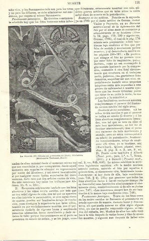 LAMINA ESPASA 39869: La Muerte, miniatura