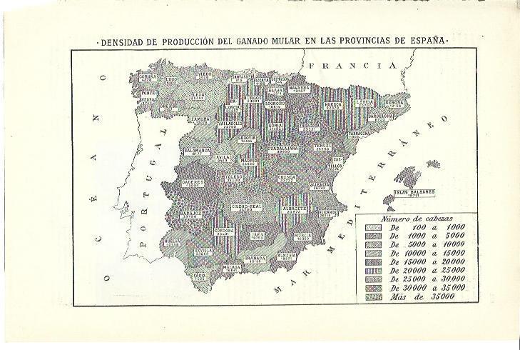 LAMINA ESPASA 39902: Mapa de España de demsidad de produccion del ganado mular