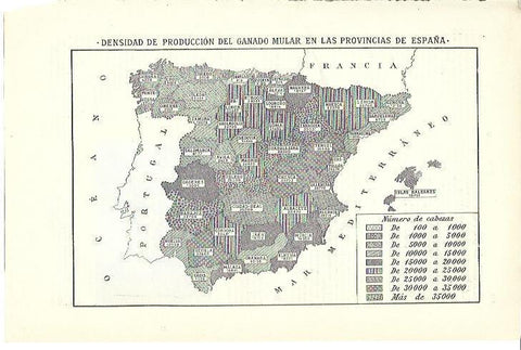 LAMINA ESPASA 39902: Mapa de España de demsidad de produccion del ganado mular