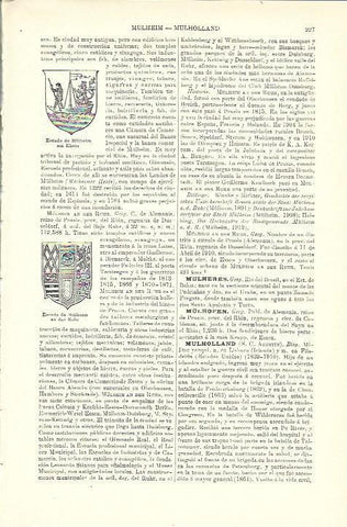 LAMINA ESPASA 39905: Escudo de Mulheim