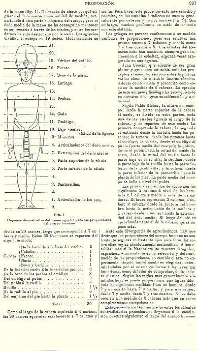 LAMINA ESPASA 39800: Esquema del canon egipcio para el cuerpo humano