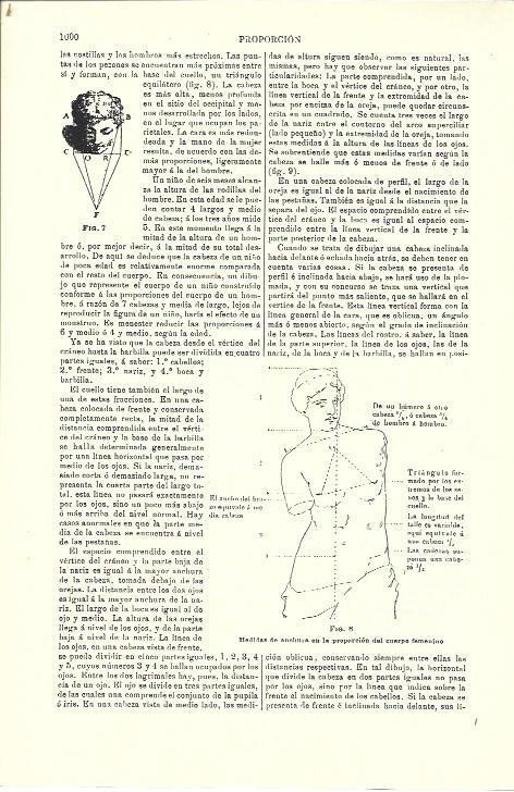 LAMINA ESPASA 39801: Medidas de anchura del cuerpo femenino