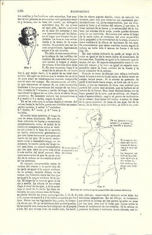 LAMINA ESPASA 39801: Medidas de anchura del cuerpo femenino