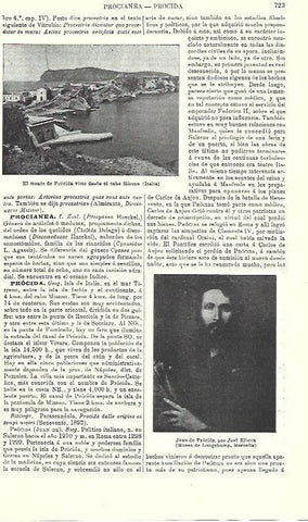 LAMINA ESPASA 39781: Monte Procida en Italia