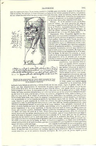 LAMINA ESPASA 39802: Estudio de las proporciones del rostro según Leonardo da Vinci