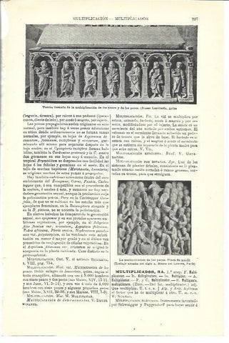LAMINA ESPASA 39906: Tumba de la multiplicacion de los panes y los peces