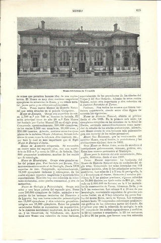 LAMINA ESPASA 40006: Museo de Grenoble