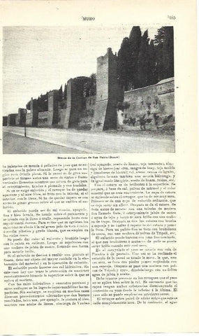 LAMINA ESPASA 39991: Muralla de Roma