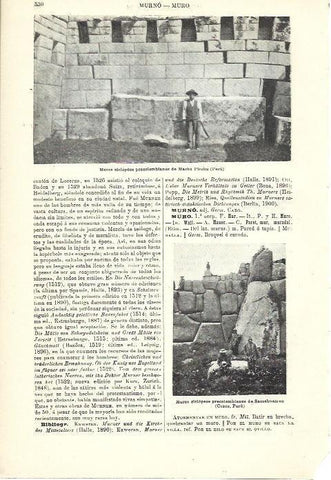 LAMINA ESPASA 39988: Muros del Machu Picchu