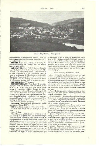 LAMINA ESPASA 39992: Vista generald e Murzzuschlag
