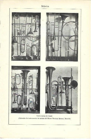 LAMINA ESPASA 40039: Instrumentos de viento del Museo Nacional Bavaro de Munich
