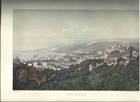 LAMINA 40568: Trieste a mediados del siglo XIX