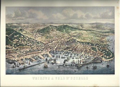 LAMINA 40584: Trieste en el 1880