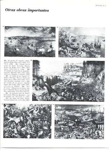 LAMINA 40298: Obras importantes de Brueghel