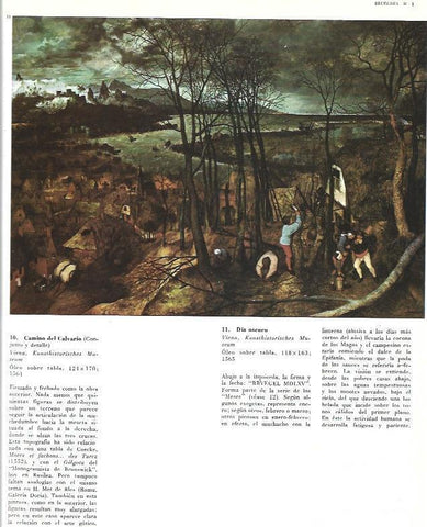 LAMINA 40293: Dia oscuro, por Brueghel