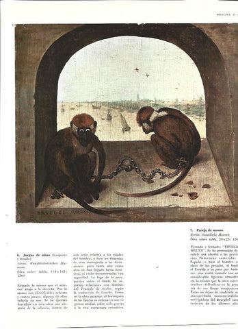 LAMINA 40291: Pareja de monos, por Brueghel