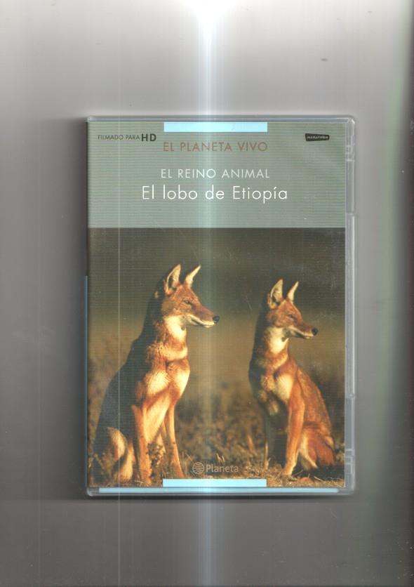 Documental en DVD: El planeta vivo - El reino animal, El lobo de Etiopia