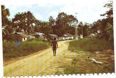 POSTAL A6834: Amazonia de Colombia