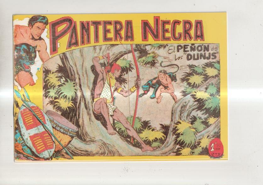 Pantera Negra, facsimil numero 41: El peñon de los Dunjs 