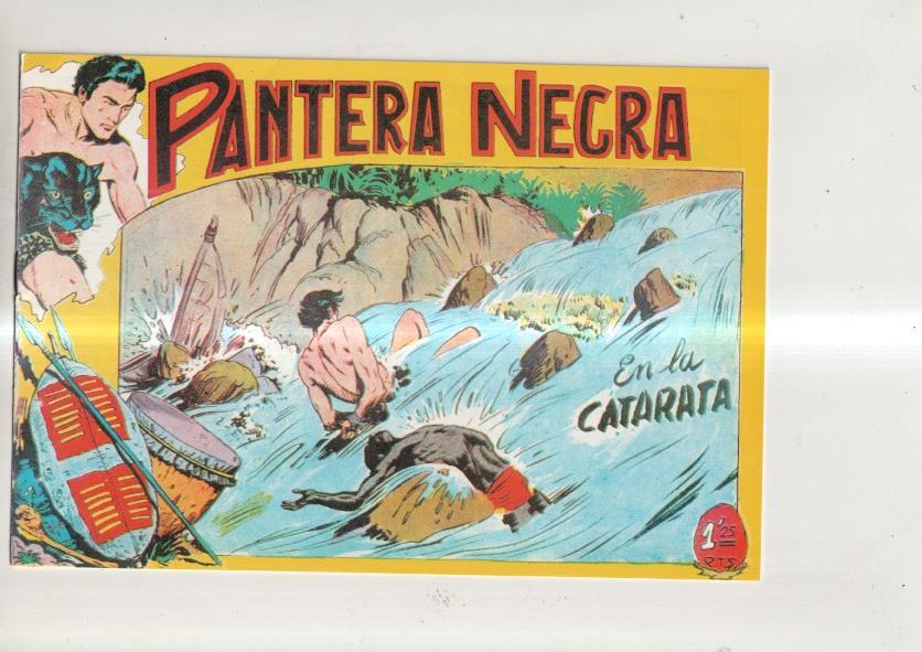 Pantera Negra, facsimil numero 16: En la catarata